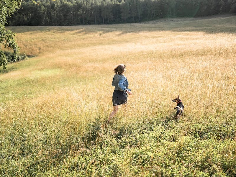 1230 Wien - Wien 23.,Liesing - TIERISCH sensibel e.U. - Hunde