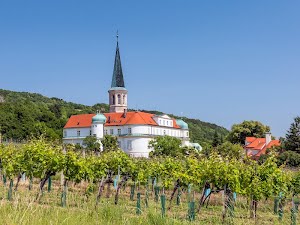 Führung durch Gumpoldskirchen am 29.7.2023